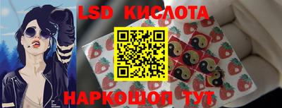 PSILOCYBIN Северобайкальск