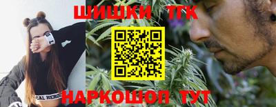 PSILOCYBIN Северобайкальск