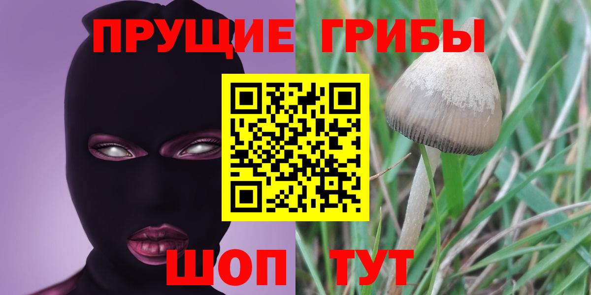 Псилоцибиновые грибы мицелий  Псилоцибиновые грибы Magic Shrooms  Белорецк  Вход с VPN 